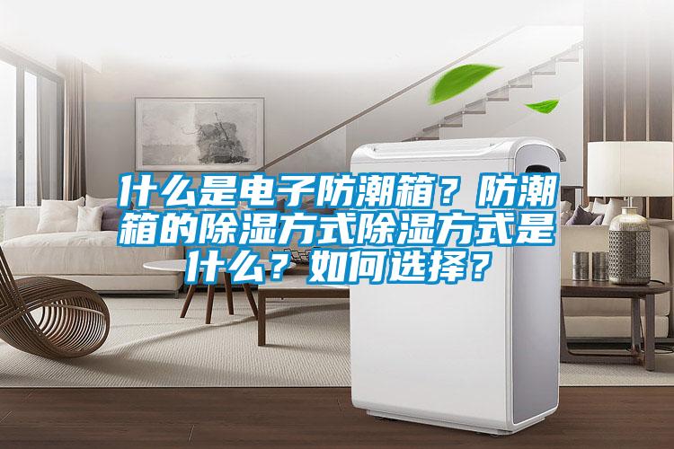 什么是電子防潮箱？防潮箱的除濕方式除濕方式是什么？如何選擇？
