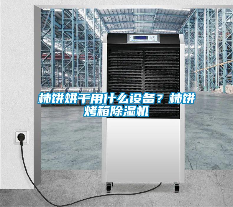 柿餅烘干用什么設(shè)備？柿餅烤箱除濕機(jī)