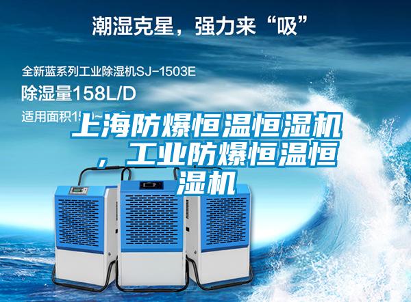 上海防爆恒溫恒濕機(jī) ，工業(yè)防爆恒溫恒濕機(jī)