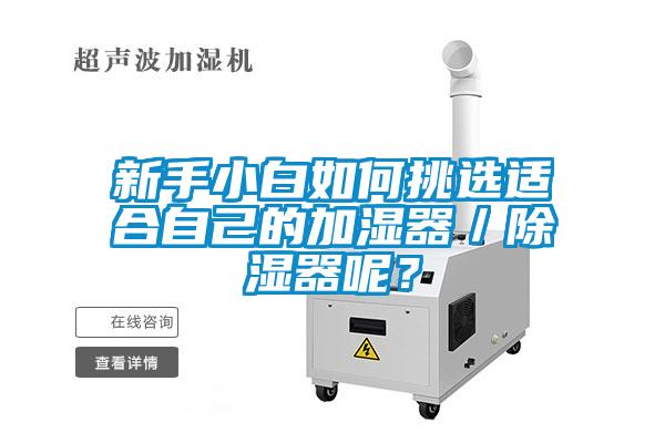 新手小白如何挑選適合自己的加濕器／除濕器呢？