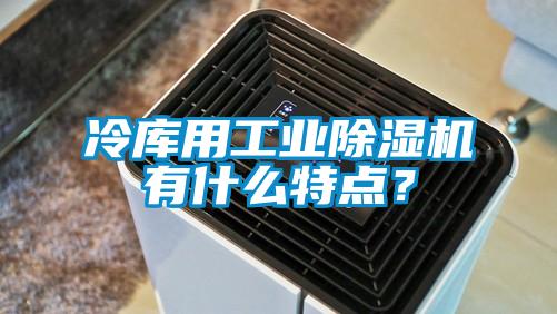 冷庫用工業(yè)除濕機(jī)有什么特點(diǎn)？