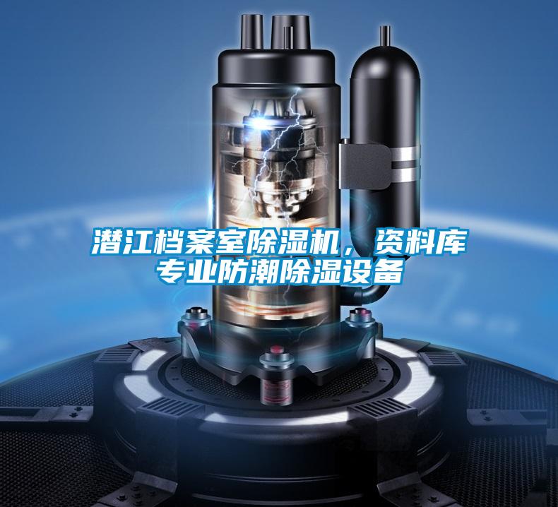 潛江檔案室除濕機(jī)，資料庫(kù)專業(yè)防潮除濕設(shè)備