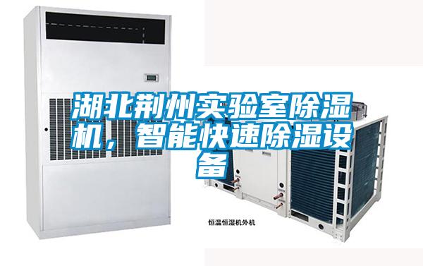 湖北荊州實(shí)驗(yàn)室除濕機(jī)，智能快速除濕設(shè)備