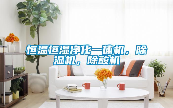 恒溫恒濕凈化一體機(jī)，除濕機(jī)，除酸機(jī)