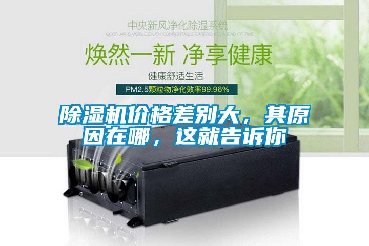 除濕機(jī)價格差別大，其原因在哪，這就告訴你
