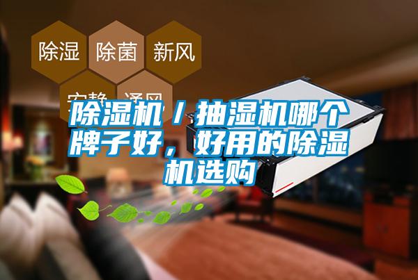 除濕機(jī)／抽濕機(jī)哪個(gè)牌子好，好用的除濕機(jī)選購(gòu)