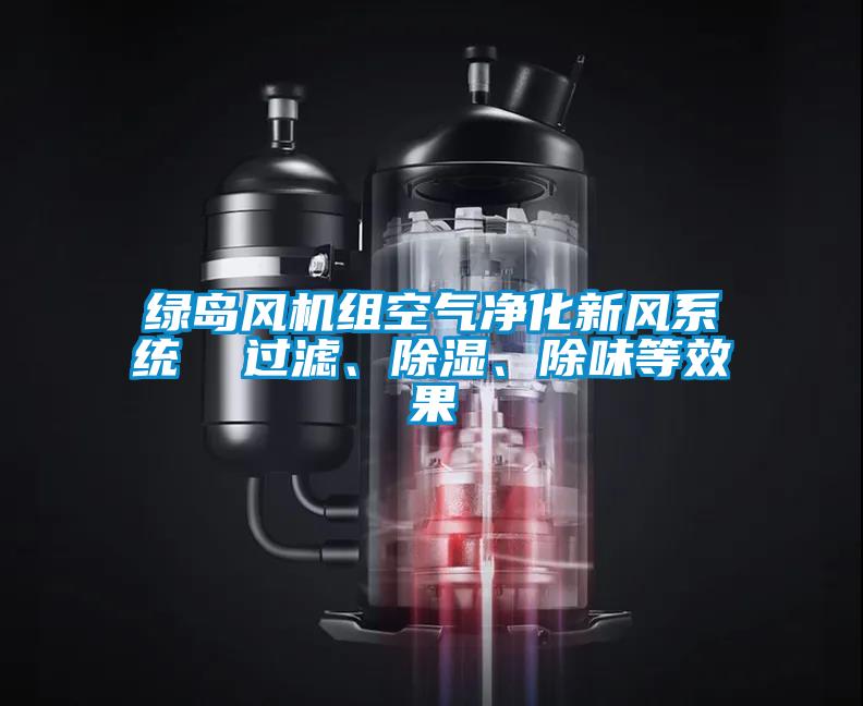 綠島風(fēng)機(jī)組空氣凈化新風(fēng)系統(tǒng)  過(guò)濾、除濕、除味等效果