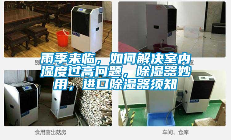 雨季來臨，如何解決室內(nèi)濕度過高問題，除濕器妙用，進口除濕器須知