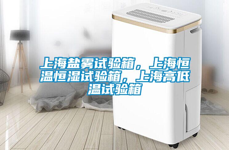 上海鹽霧試驗(yàn)箱，上海恒溫恒濕試驗(yàn)箱，上海高低溫試驗(yàn)箱