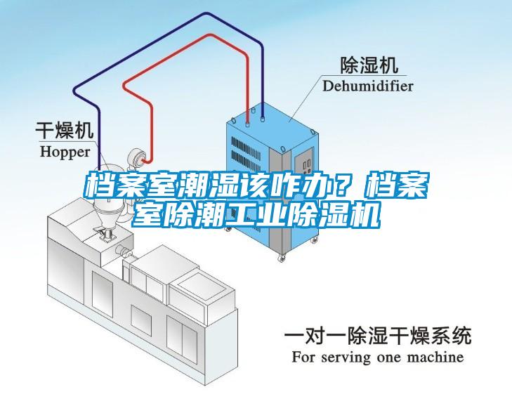 檔案室潮濕該咋辦？檔案室除潮工業(yè)除濕機(jī)
