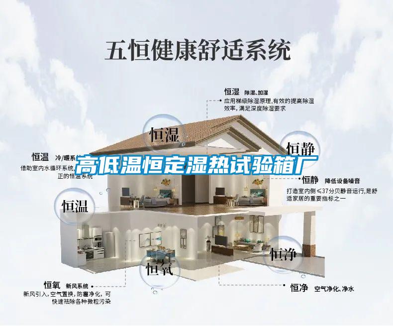 高低溫恒定濕熱試驗(yàn)箱廠(chǎng)