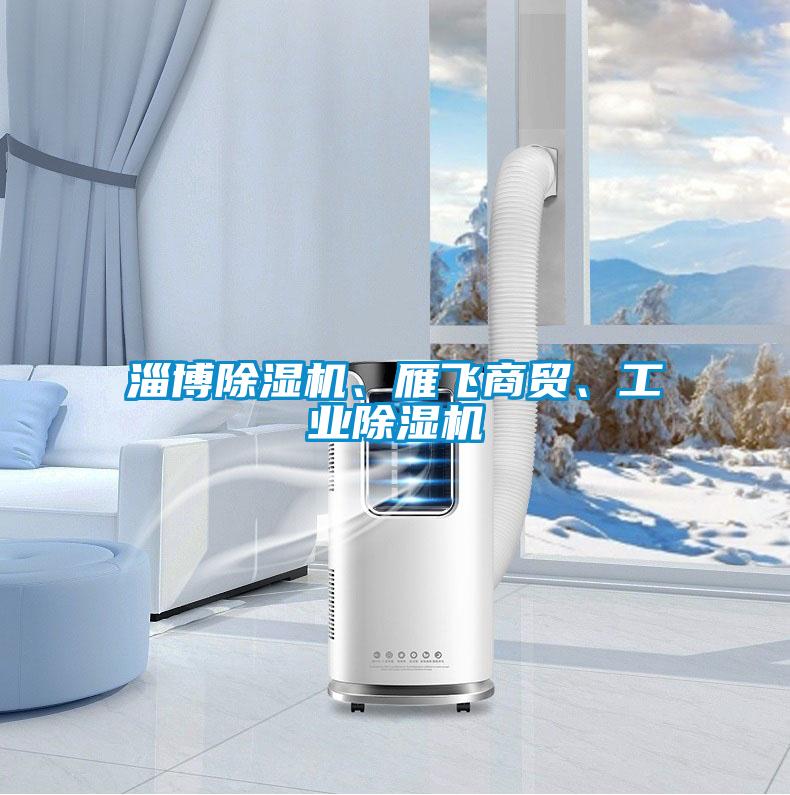 淄博除濕機、雁飛商貿(mào)、工業(yè)除濕機