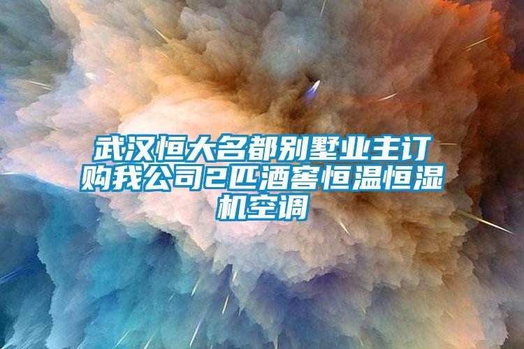 武漢恒大名都別墅業(yè)主訂購(gòu)我公司2匹酒窖恒溫恒濕機(jī)空調(diào)