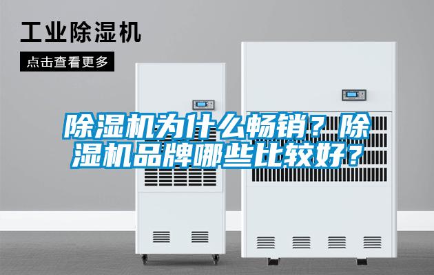 除濕機(jī)為什么暢銷？除濕機(jī)品牌哪些比較好？