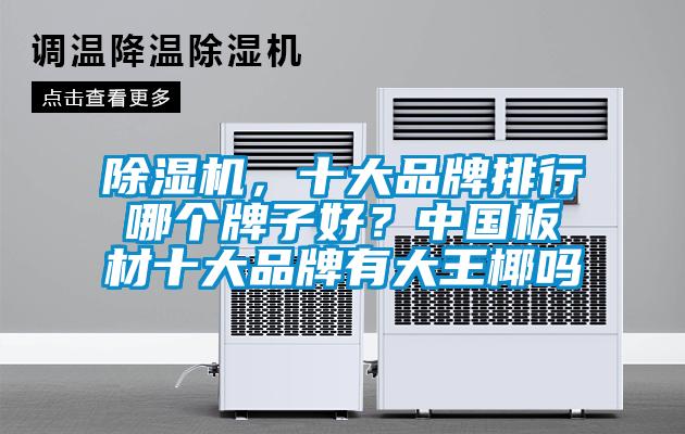 除濕機，十大品牌排行哪個牌子好？中國板材十大品牌有大王椰嗎
