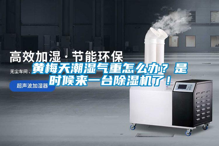 黃梅天潮濕氣重怎么辦？是時(shí)候來(lái)一臺(tái)除濕機(jī)了！