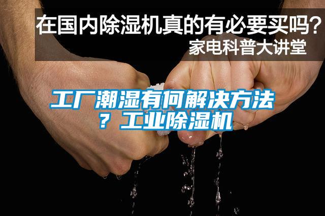 工廠潮濕有何解決方法？工業(yè)除濕機