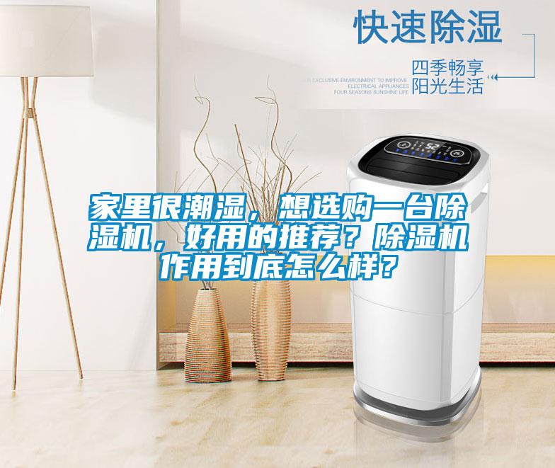 家里很潮濕，想選購(gòu)一臺(tái)除濕機(jī)，好用的推薦？除濕機(jī)作用到底怎么樣？