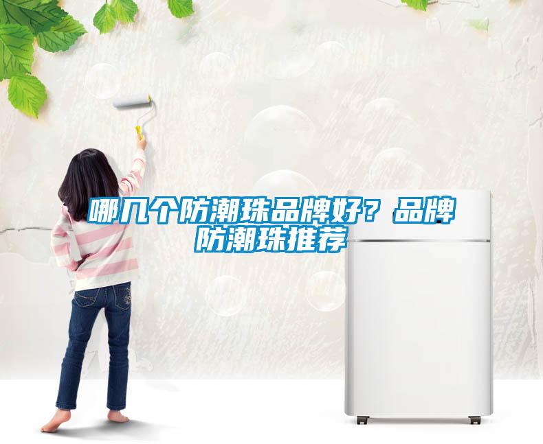 哪幾個防潮珠品牌好？品牌防潮珠推薦