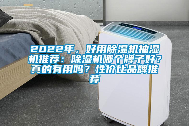 2022年，好用除濕機(jī)抽濕機(jī)推薦：除濕機(jī)哪個(gè)牌子好？真的有用嗎？性?xún)r(jià)比品牌推薦