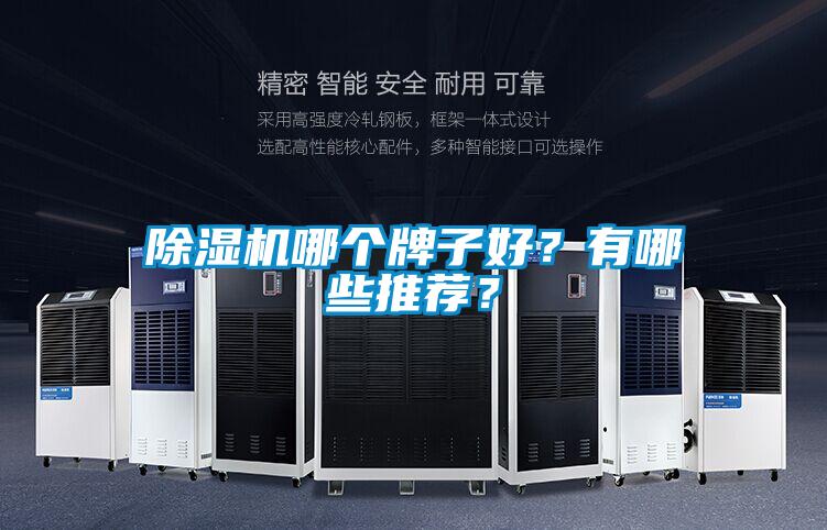 除濕機哪個牌子好？有哪些推薦？