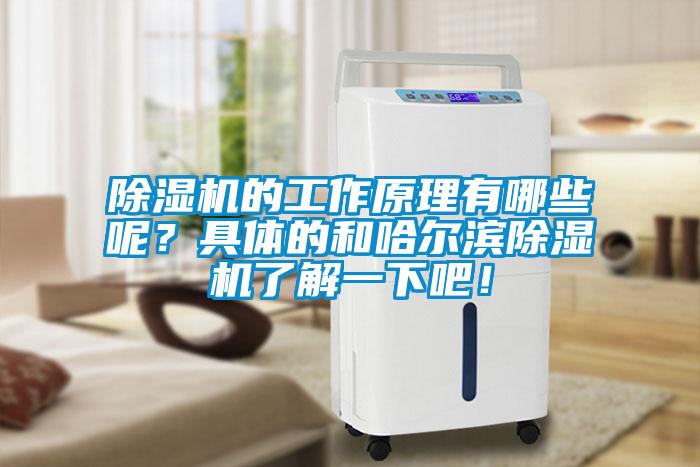 除濕機的工作原理有哪些呢？具體的和哈爾濱除濕機了解一下吧！