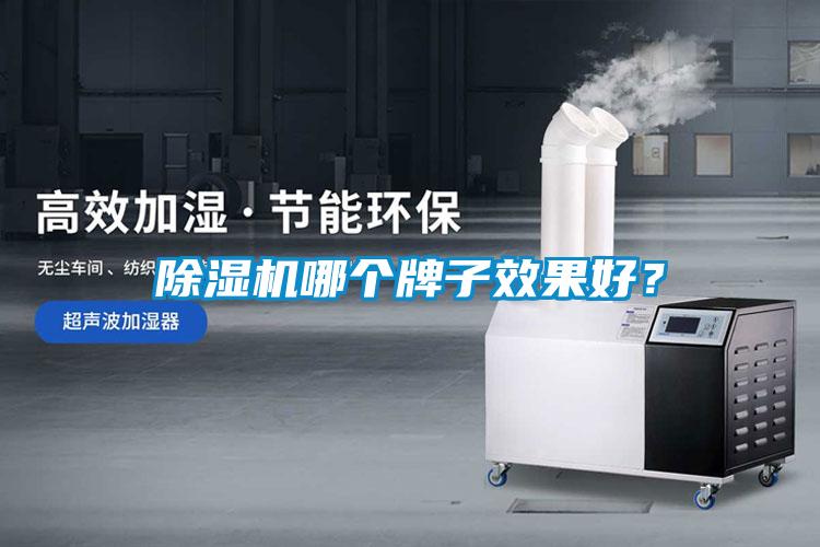除濕機(jī)哪個牌子效果好？