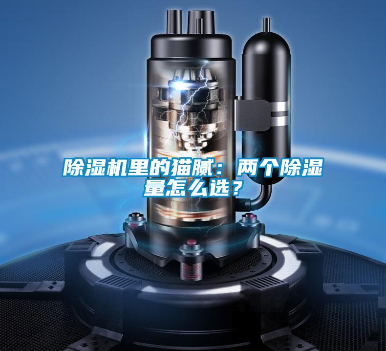 除濕機里的貓膩：兩個除濕量怎么選？