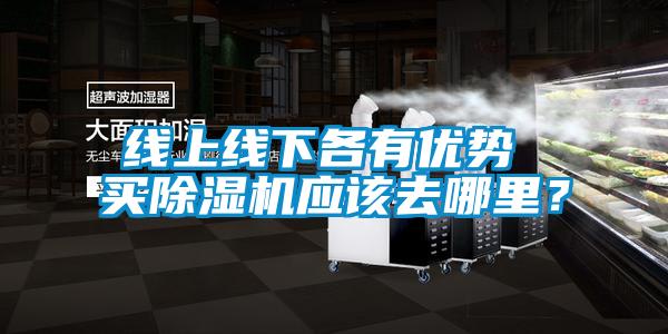 線上線下各有優(yōu)勢 買除濕機(jī)應(yīng)該去哪里？