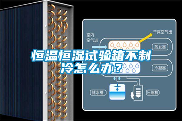 恒溫恒濕試驗箱不制冷怎么辦？