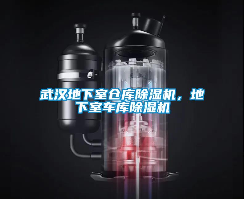 武漢地下室倉(cāng)庫(kù)除濕機(jī)，地下室車庫(kù)除濕機(jī)