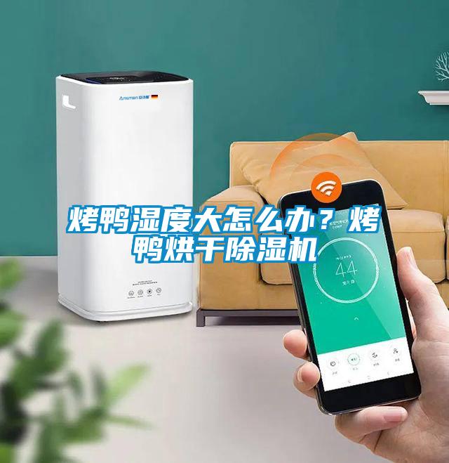 烤鴨濕度大怎么辦？烤鴨烘干除濕機(jī)