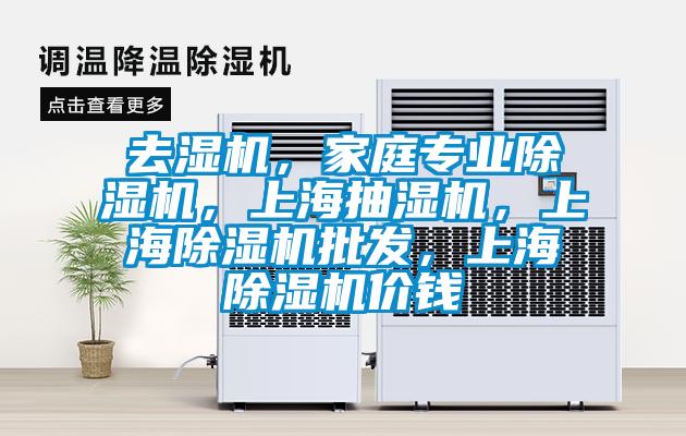 去濕機，家庭專業(yè)除濕機，上海抽濕機，上海除濕機批發(fā)，上海除濕機價錢