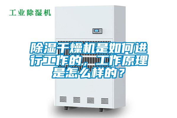 除濕干燥機是如何進行工作的，工作原理是怎么樣的？