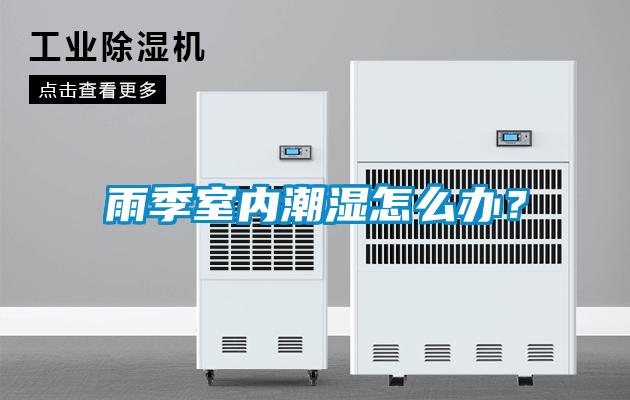 雨季室內潮濕怎么辦？