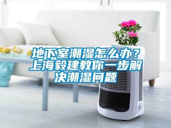地下室潮濕怎么辦？上海毅建教你一步解決潮濕問題