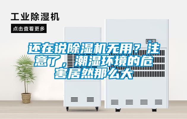 還在說除濕機(jī)無用？注意了，潮濕環(huán)境的危害居然那么大