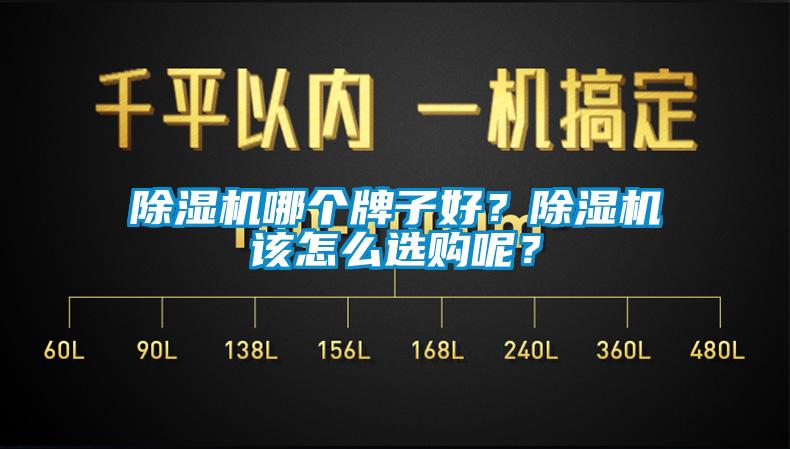 除濕機(jī)哪個牌子好？除濕機(jī)該怎么選購呢？
