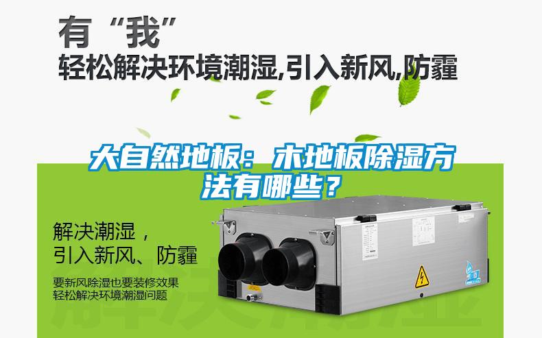 大自然地板：木地板除濕方法有哪些？