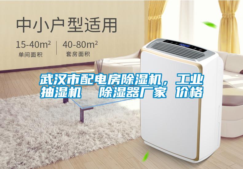武漢市配電房除濕機(jī)，工業(yè)抽濕機(jī)  除濕器廠家 價格