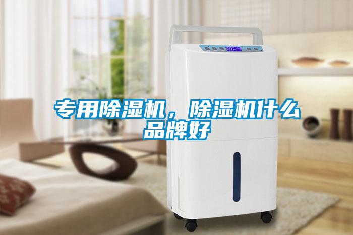 專用除濕機，除濕機什么品牌好
