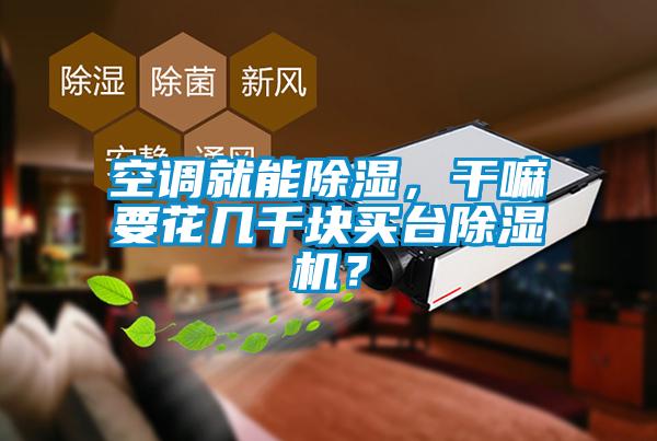空調(diào)就能除濕，干嘛要花幾千塊買臺除濕機？