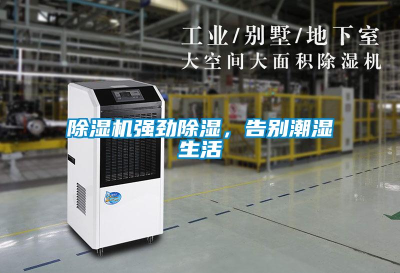 除濕機(jī)強(qiáng)勁除濕，告別潮濕生活