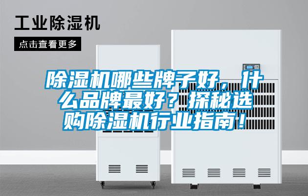 除濕機(jī)哪些牌子好，什么品牌最好？探秘選購除濕機(jī)行業(yè)指南！