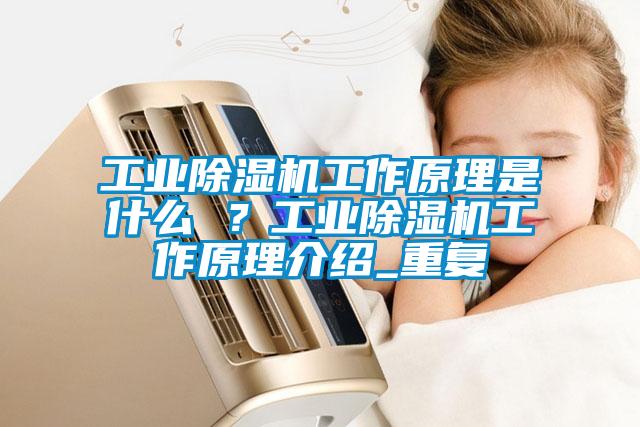 工業(yè)除濕機工作原理是什么 ？工業(yè)除濕機工作原理介紹_重復(fù)