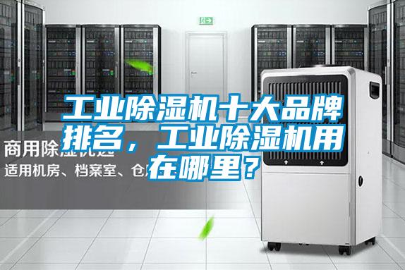 工業(yè)除濕機(jī)十大品牌排名，工業(yè)除濕機(jī)用在哪里？
