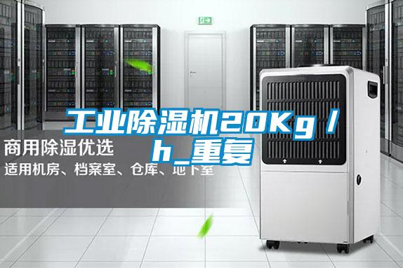 工業(yè)除濕機20Kg／h_重復