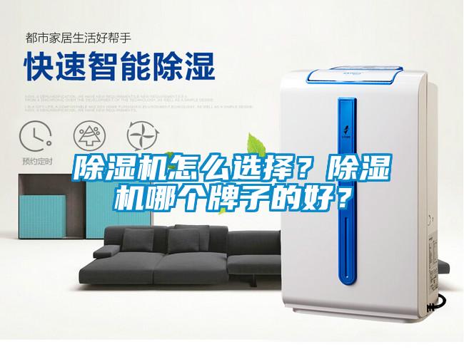 除濕機(jī)怎么選擇？除濕機(jī)哪個(gè)牌子的好？