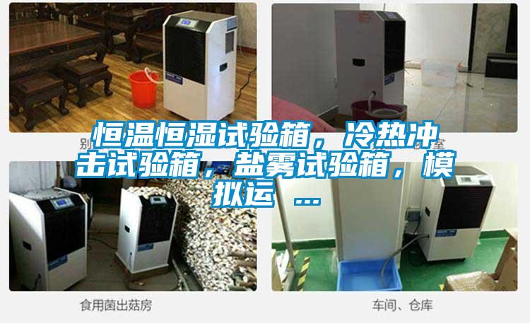 恒溫恒濕試驗箱，冷熱沖擊試驗箱，鹽霧試驗箱，模擬運 ...