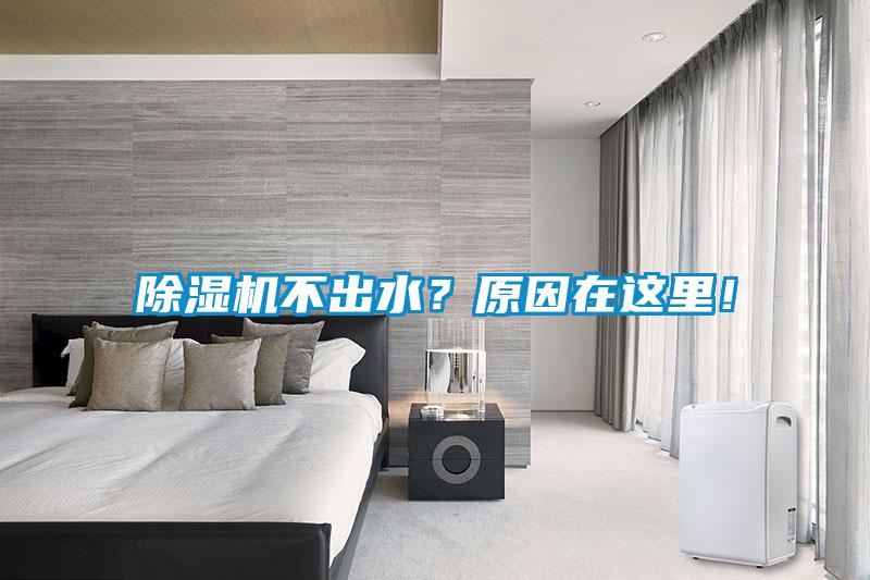 除濕機不出水？原因在這里！